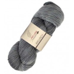 Pro Lana Avellino kleur 86
