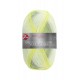 Pro Lana Golden Socks - Schluchsee - 288.02