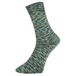 Pro Lana Golden Socks Mouline 2