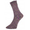 Pro Lana Golden Socks Mouline 2