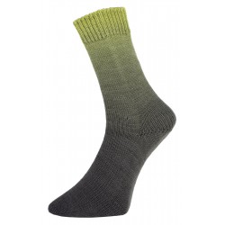 Pro Lana Golden Socks Piz Buin - 260.05