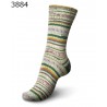 Regia Design Line - Arne en Carlos Lofoten