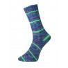 Pro Lana Golden Socks Blauen 6-draads