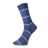 Pro Lana Golden Socks Blauen 6-draads